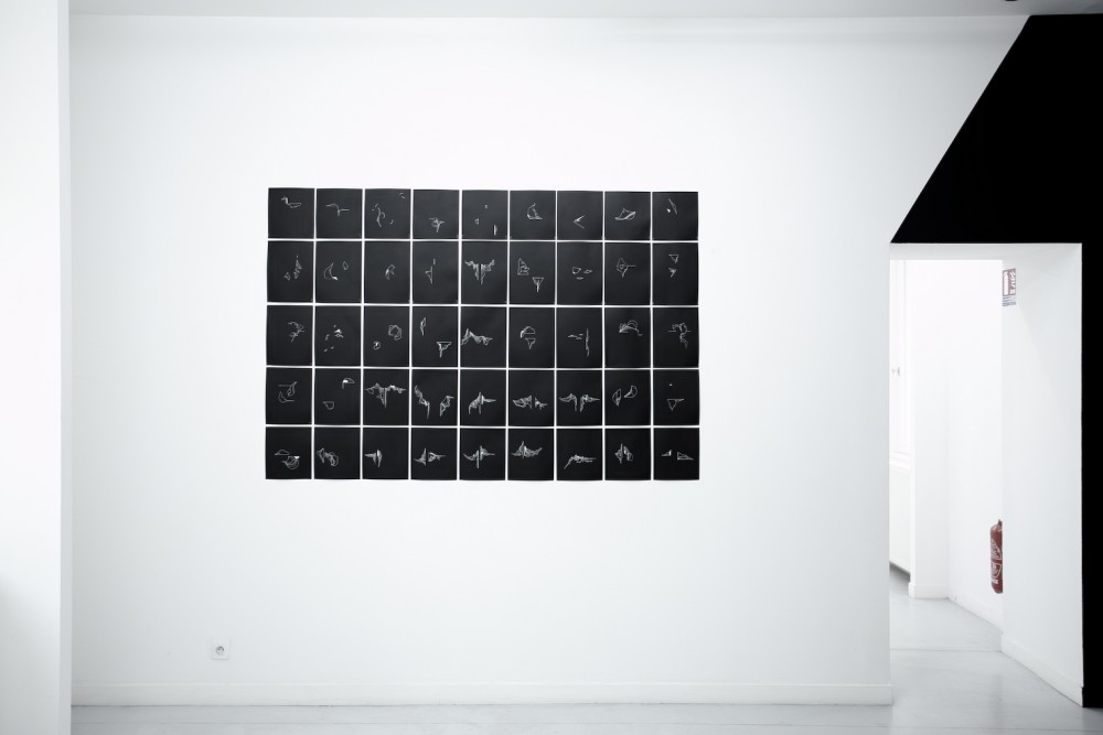 Installation de Sophie Pouille Exposition IMMERSION au CACL - mai 2015