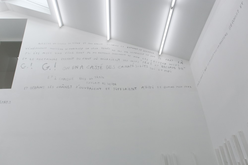 Installation de Guillaume Sauzay Exposition IMMERSION au CACL - mai 2015