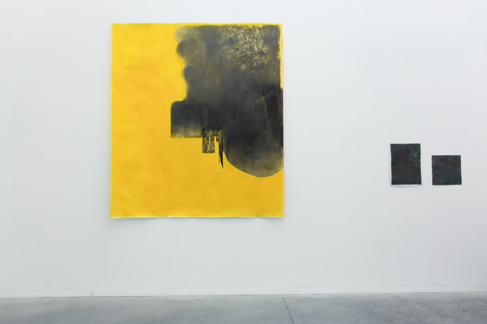 Oeuvres sur papier de Benjamin Viort Exposition IMMERSION au CACL - mai 2015