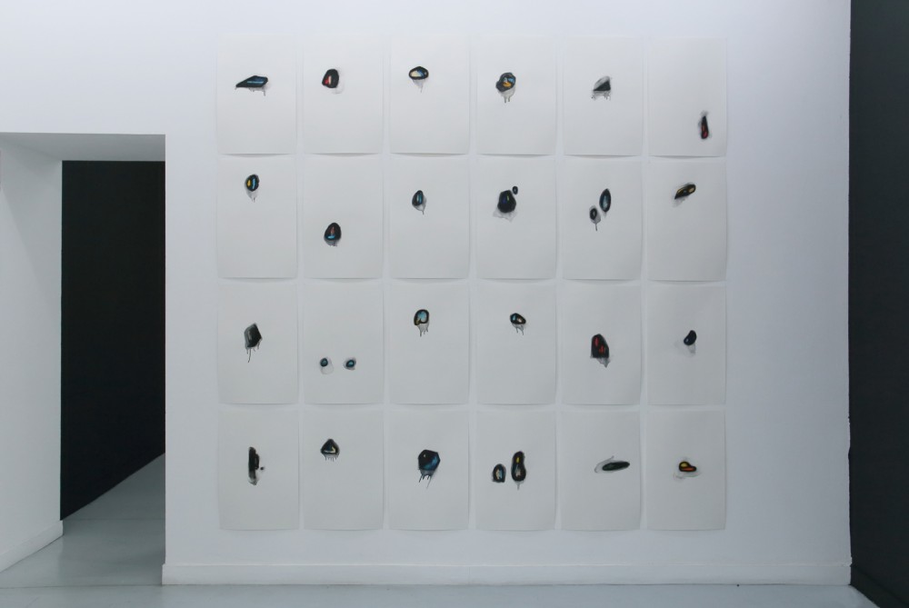 Installation de Sophie Pouille Exposition IMMERSION au CACL - mai 2015