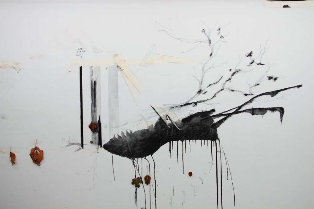 David BARTHOLOMÉO © Bruno Pouille