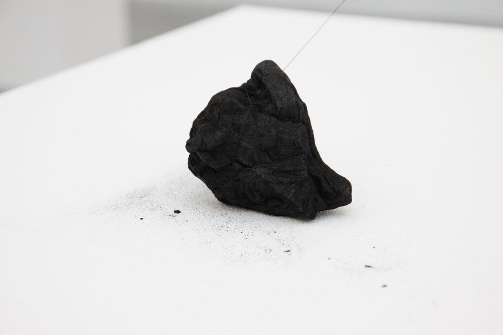 Pauline FLEURET © Damien Arlettaz