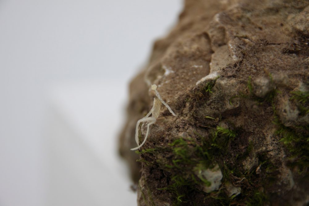 Lionel SABATTÉ © Damien Arlettaz