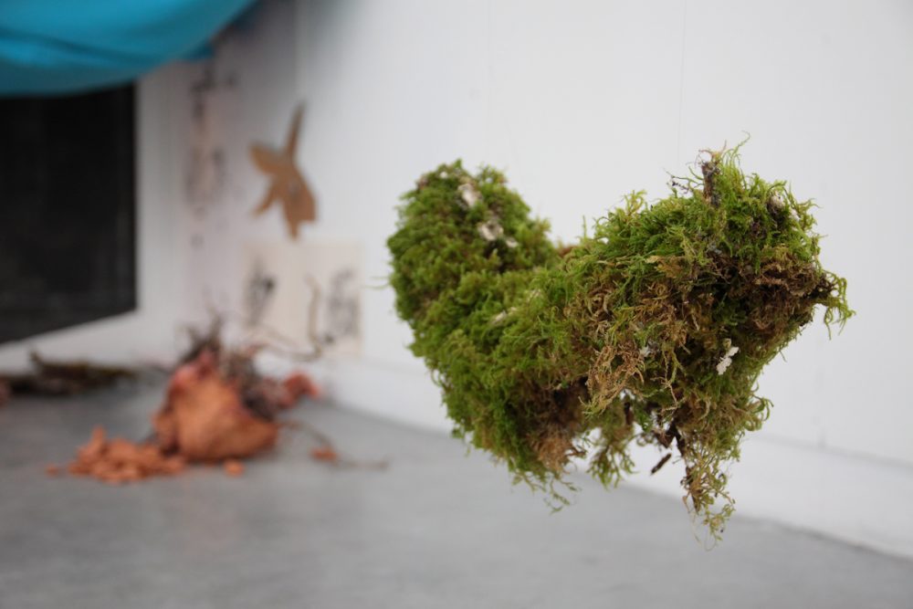 David BARTHOLOMÉO © Damien Arlettaz