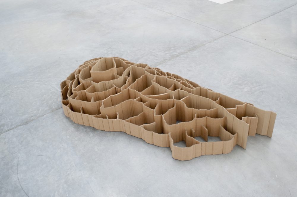 Norbert GODON © Damien Arlettaz